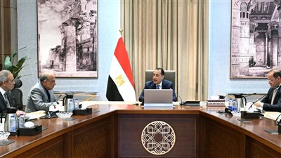 خطة حكومية لرفع كفاءة شبكة نقل الكهرباء لاستيعاب قدرات الطاقة الجديدة