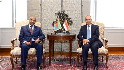 تنسيق مصري إريتري لمواجهة التحديات في القرن الأفريقي