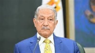 دبلوماسي: تنسيق مصري إريتري لحماية أمن البحر الأحمر ومواجهة التهديدات