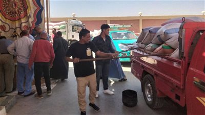 توريد 255 ألف طن قمح بشون وصوامع الفيوم