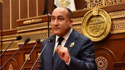 النائب عمرو رشاد يطالب بتفعيل القانون لمواجهة مروجي الانحراف: لا مجال لتطبيع السلوكيات المرفوضة