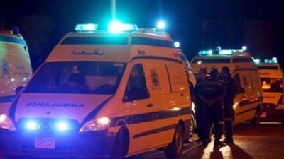 مصرع شخصين وإصابة 4 من أسرة واحدة في تصادم تروسيكل وتريلا بالبحيرة