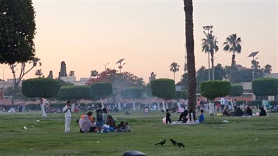 مع اقتراب الغروب.. «اللمة الحلوة» عنوان الحدائق في الإسماعيلية
