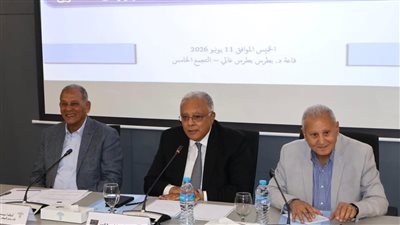 نائب رئيس 