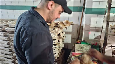 ضبط 279 عبوةأدوية بيطرية منتهية الصلاحية بالغربية