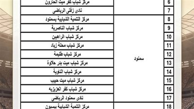 50 شاشة عملاقة لمتابعة الجماهيرمباريات منتخب مصر بالغربية
