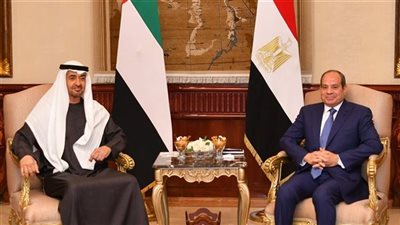 أستاذ علوم سياسية يكشف أهمية الزيارة المصرية الإماراتية