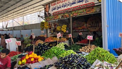 محافظ الدقهلية يكلف رئيس مدينة طلخا بمنع عودة الباعة الجائلين 