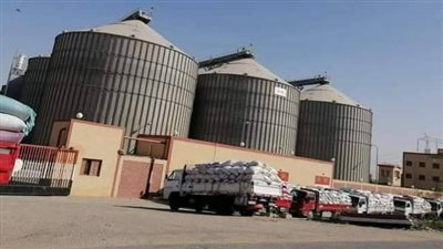 توريد 261 ألف طن من محصول القمح إلى صوامع الفيوم 