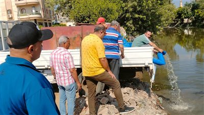 إطلاق 2.55 مليون زريعة أسماك لدعم الثروة السمكية بالشرقية