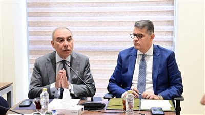 السفير علاء يوسف يستعرض جهود هيئة الاستعلامات أمام لجنة حقوق الإنسان بمجلس النواب