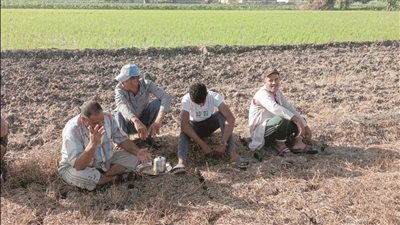شكاوى من نقص الكيماوى بالجمعيات الزراعية