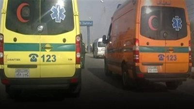 إصابة شخصين ومسعف بحادث سير بالدقهلية     