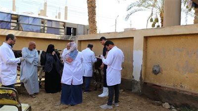 جامعة الفيوم: قافلة بيطرية شاملة بقرية مناشي الخطيب