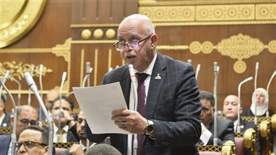 الشيوخ يوافق على اقتراح حازم الجندي بشأن مقر قصر ثقافة طنطا ويحيله للحكومة للتنفيذ