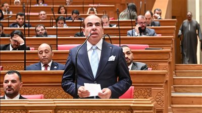 ياسر الهضيبي يتقدم بطلب إحاطة لنقص حضانات الأطفال بالمستشفيات الحكومية