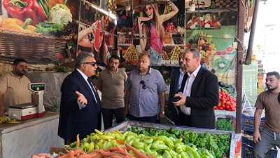 محافظ الدقهلية يتفقد منافذ بيع الخضراوات بشرق المنصورة 