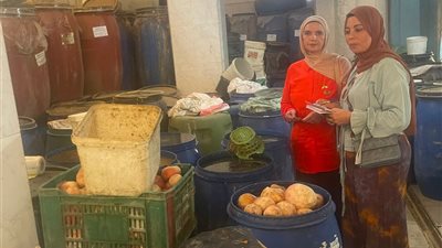 ضبط 7 أطنان مخللات غير مرخصة و675 كجم أسماك غير صالحة بالدقهلية