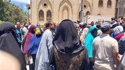 تضامن كفر الشيخ يبدأ توزيع 98 ألف بطاقة 