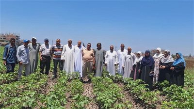 الزراعة بالشرقية تتصدى لدودة الحشد وتسرّع صرف الأسمدة