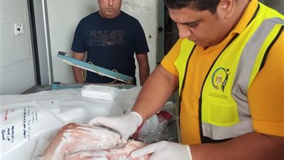 تموين الإسماعيلية يضبط 10 أطنان من الطيور ومصنعات الدجاج غير صالحة للاستهلاك 