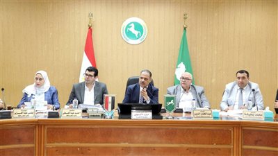 أجهزة الضباب تجوب شوارع الشرقية لمواجهة الناموس خلال الصيف