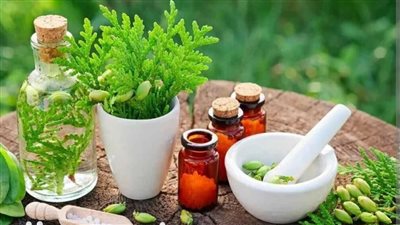 الأعشاب الطبيعية.. كنوز صحية تعزز المناعة وتحسن جودة الحياة