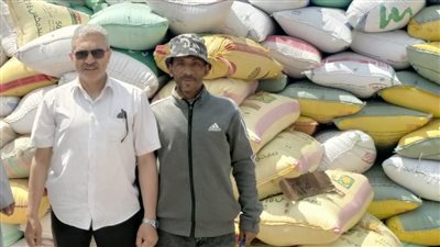الشرقية تقترب من 672 ألف طن قمح محلي