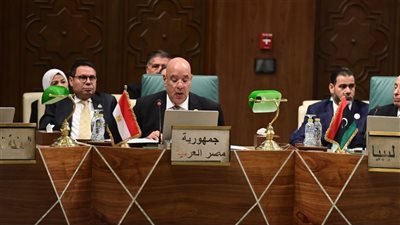 رئيس النواب: السيادة الرقمية العربية ليس ترفا فكريا نمارسه بل معركة مصيرية