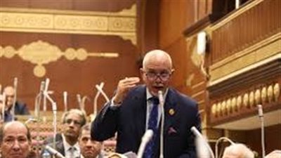 اللاجئون في مصر نموذج إنساني يستحق الدعم..الجندي: مصر لا تستخدم ملف اللاجئين كورقة ضغط