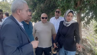 تمساح في مصرف القليوبية؟.. لجنة فنية تفحص حقيقة الفيديو المتداول