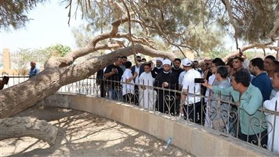 خطة متكاملة لتحويل منطقة البهنسا الأثرية إلى مقصد عالمي للسياحة