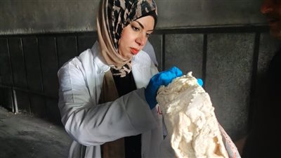 ضبط 17 طن لحوم مجهولة المصدر في العاشر من رمضان
