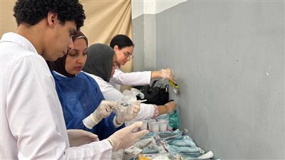 جامعة الإسكندرية تُنظم قافلة طبية شاملة لخدمة أهالي منطقة أبيس 7