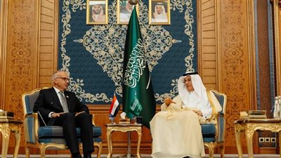 وزير الري يبحث تفعيل مذكرة التفاهم الموقعة بين مصر والسعودية بمجال الموارد المائية