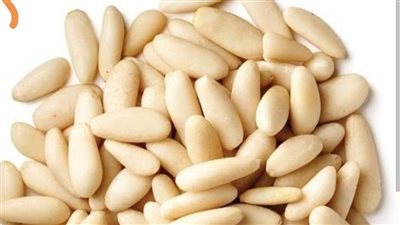 الصنوبر.. كنز غذائي غني بالعناصر المفيدة لصحة القلب والعظام والمناعة