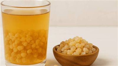 لبان الدكر على الريق.. فوائد محتملة تدعم الهضم والمناعة