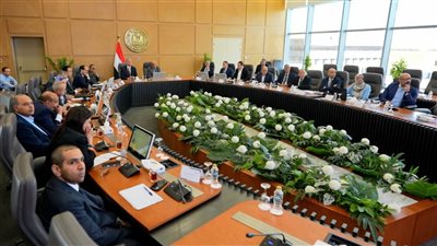 وزيرا الكهرباء والبترول يبحثان خطة العمل المشترك خلال فصل الصيف