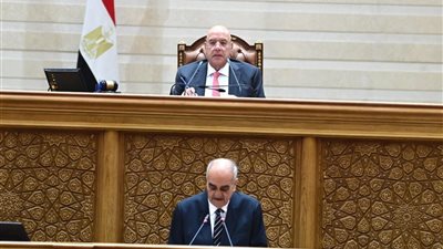 البرلمان يوافق على اتفاقية المساعدة القضائية المتبادلة في المسائل الجنائية بين حكومتي مصر وقطر