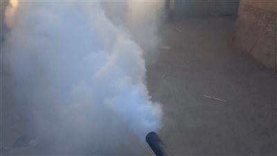 تكثيف رش الناموس والحشرات الطائرة بالشرقية