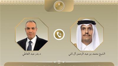 وزير الخارجية يبحث مع نظيره القطري التطورات الإقليمية