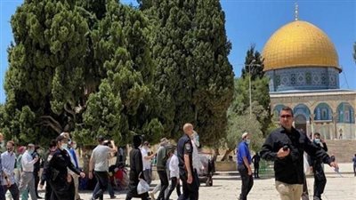حراك عربي لمواجهة تصعيد الاحتلال في الأقصى.. ودعم قرار هولندا بحظر منتجات المستوطنات