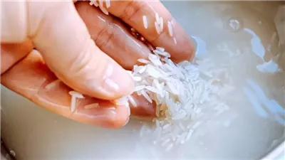 هل غسل الأرز قبل الطهي ضروريًا؟.. هيئة سلامة الأغذية الأوروبية تجيب