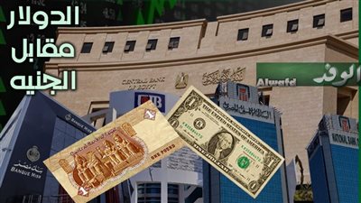 سعر الدولار في البنوك أمام الجنيه المصرى