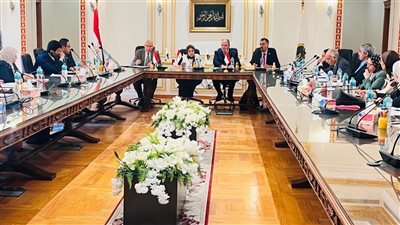 اعتماد نتائج الفصل الدراسي الثاني في جامعة القاهرة الأهلية