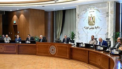 الوزراء يرصد تطور قطاع الاتصالات قبل 