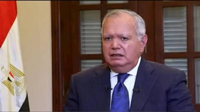 دبلوماسي: الأمن القومي العربي يحتاج إلى صياغة جديدة لمواجهة التهديدات العابرة للحدود