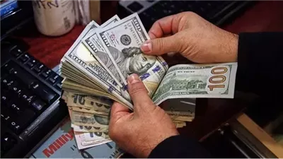 خبير اقتصادي يوضح كيف يمكن زيادة تحويلات المصريين بالخارج