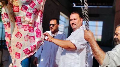 إعدام أبقار مصابة بالسل قبل وصولها للمستهلكين في الباجور 