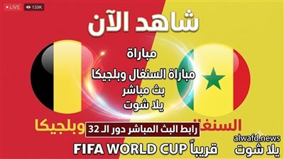 يلا شوت مشاهده مباراة السنغال وبلجيكا دور 32 رابط البث المباشر 